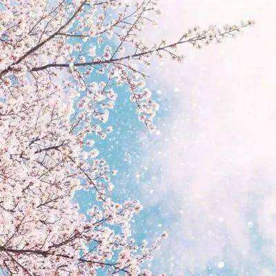 美军公然展示灭岛能力 外媒：特朗普在南海要的不是战争